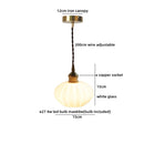 Helnys Pumpkin Shell LED Glass Pendant Light - Iron Canopy, Bedroom Dining Living Room Decor