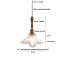 Helnys Clear Glass LED Pendant Lights Modern Hanging Lamp for Home Decor