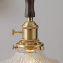 Helnys Nordic Modern Glass LED Pendant Lamp with Walnut Wood Accent