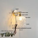 Helnys Clear Glass LED Wall Lamp Pull Chain Switch Rotatable Crystal Light