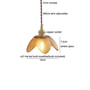 Helnys Clear Glass LED Pendant Light - Wire Adjustable Nordic Modern Decor Hanging Lamp