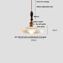 Helnys Glass Pendant Light Fixture Nordic Modern Chandelier Hang Lamp